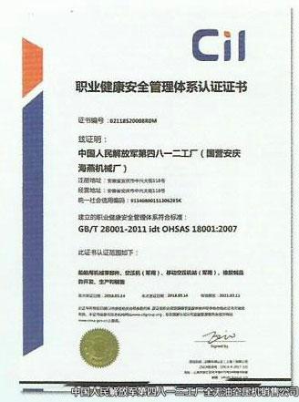 職業(yè)管理體系認證證書
